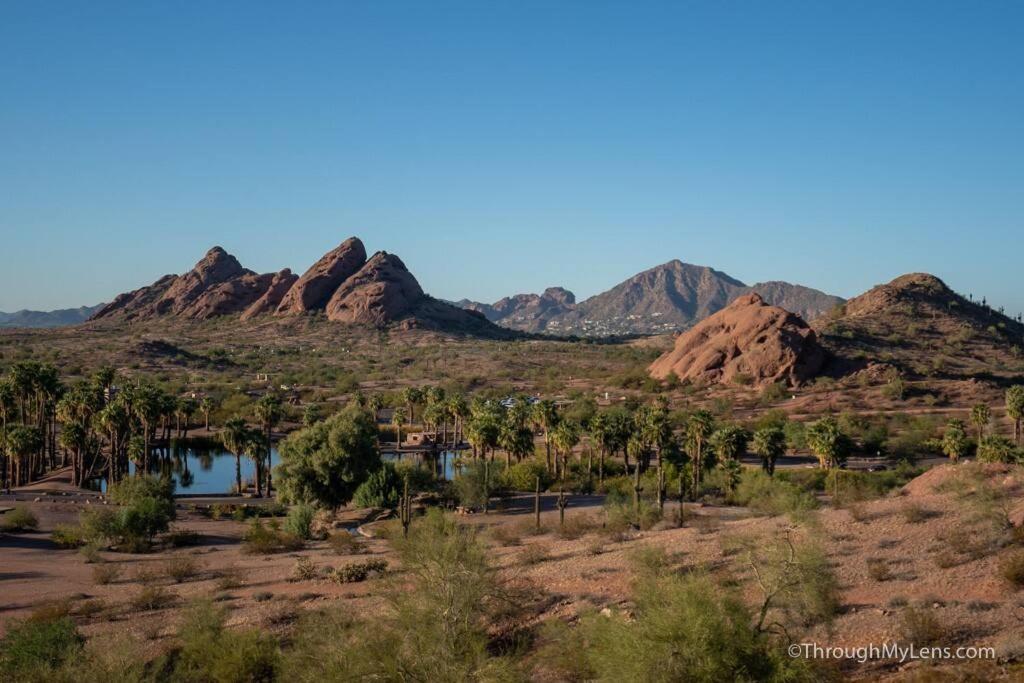 Modern Tempe Home With Heated Pool, Asu 外观 照片